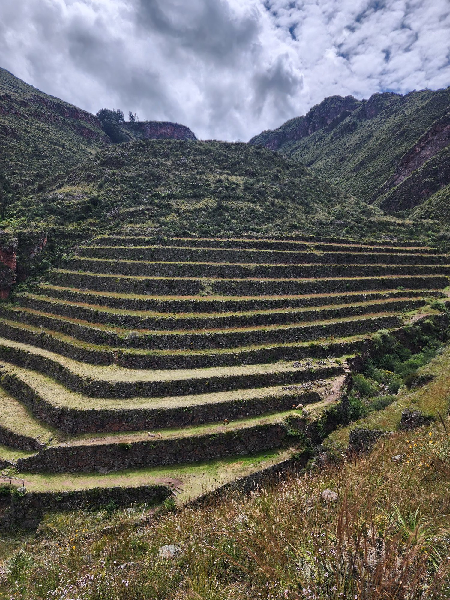 Concentric agricultural terraces at Pisac