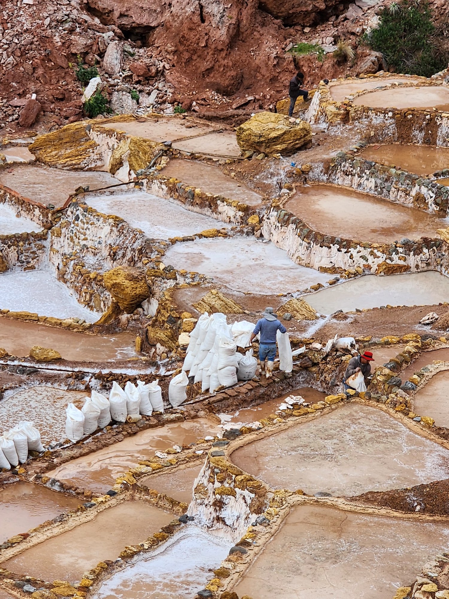 Detail of the Maras salt terraces