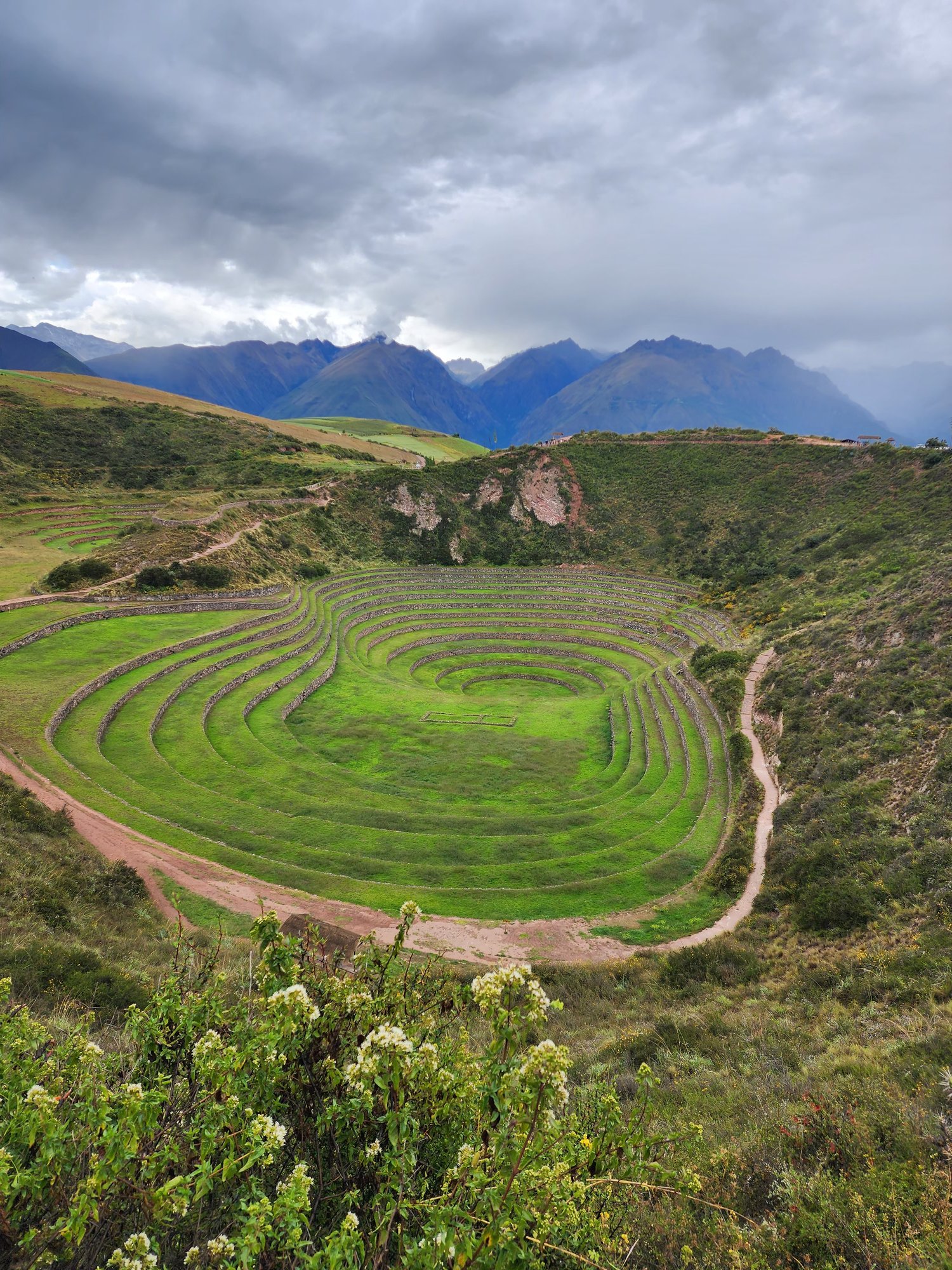 Moray's circular agricultural terraces